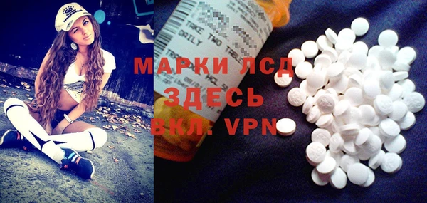 спиды Аркадак