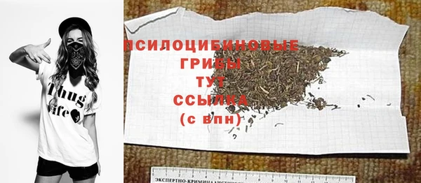 спиды Аркадак